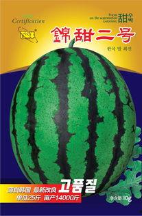 鑫子吃瓜,揭秘娱乐圈幕后故事