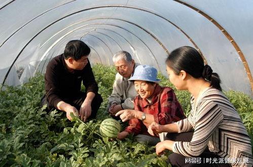 中国路人路过吃瓜