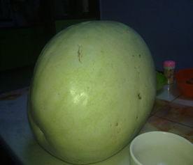 减肥可以吃白瓜吗,健康饮食新选择