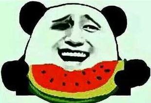 反吃瓜的人,反吃瓜的人生哲学