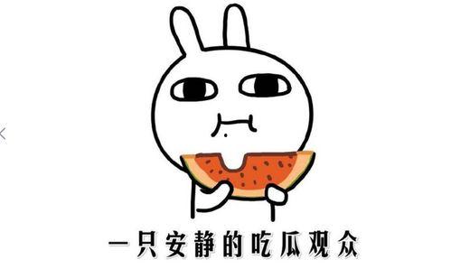 吃瓜网络的意思,围观背后的社会现象与心理解读