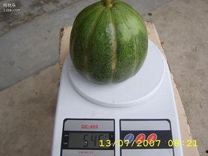 绿瓜吃肥吗,揭秘绿色蔬菜的瘦身奥秘